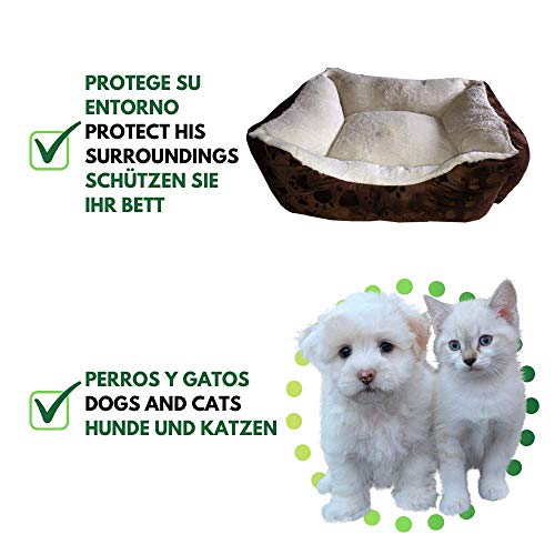 Disane Polvo Antiparasitario para Perros |Repelente de Insectos Natural 250g| Antipulgas en Talco de Fácil Aplicación por el Pelaje y el Entorno del Perro | Protege de Pulgas, Garrapatas y Mosquitos