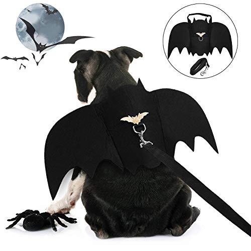 Disfraz de Gato de Halloween, murciélago de Gato con Campana de Calabaza, Disfraces de Perro, Ropa de Mascota de Halloween, para Cachorro, Gato, Mascota pequeña (Alas de murciélago para Perro)