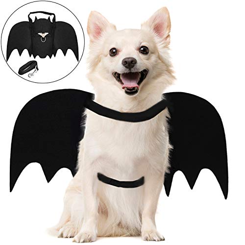 Disfraz de Gato de Halloween, murciélago de Gato con Campana de Calabaza, Disfraces de Perro, Ropa de Mascota de Halloween, para Cachorro, Gato, Mascota pequeña (Alas de murciélago para Perro)