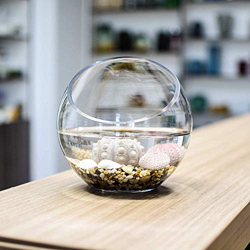 Ecosides Jarrón de cristal transparente inclinado para terrario,diseño de globo redondo de cristal con burbujas de corte ancho, para poner caramelos, plantas, flores, frutas, vidrio, 7" x7“