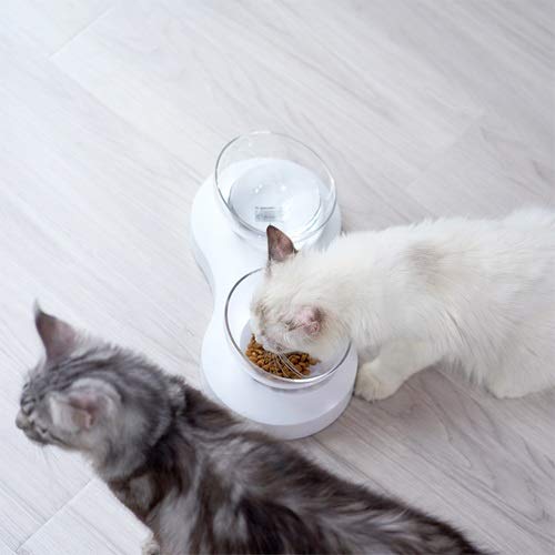 El Plato Doble tazón Gato Protege la Columna Cervical.El ángulo Ajustable es Adecuado for Gatos for Comer y Beber. (Size : Double Bowl)