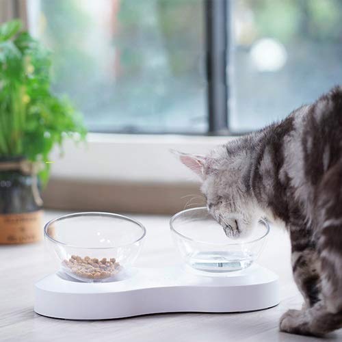 El Plato Doble tazón Gato Protege la Columna Cervical.El ángulo Ajustable es Adecuado for Gatos for Comer y Beber. (Size : Double Bowl)