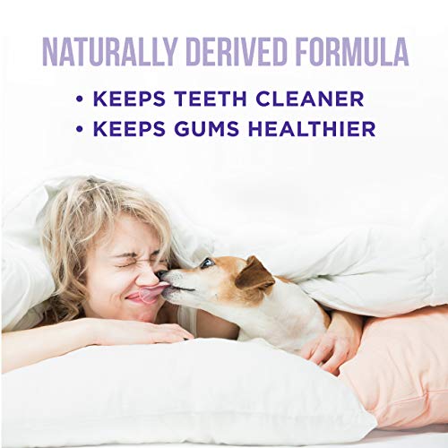 Enjuague bucal para Perros Rapport Natural - El único Enjuague bucal para Perros Que los Perros Necesitan - Aditivo de Agua para el Cuidado Dental (16 FL oz.)