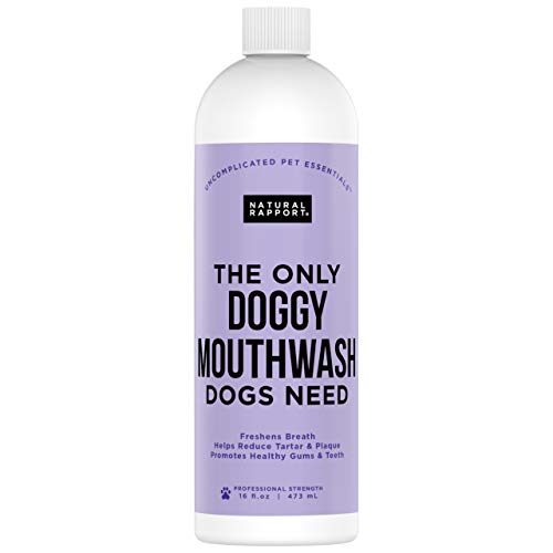 Enjuague bucal para Perros Rapport Natural - El único Enjuague bucal para Perros Que los Perros Necesitan - Aditivo de Agua para el Cuidado Dental (16 FL oz.)