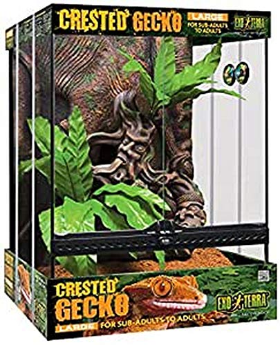 Exo Terra Kit Terrario Cresta Gecko Grande, 45 x 45 x 60 cm