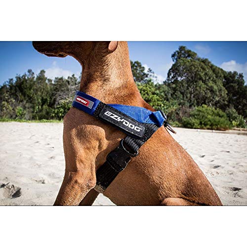 EzyDog Express Arnés para perros – Arnés noruego para perros pequeños, medianos y grandes, reflectante, ajustable, acolchado Perfecto para correr y ciclismo.