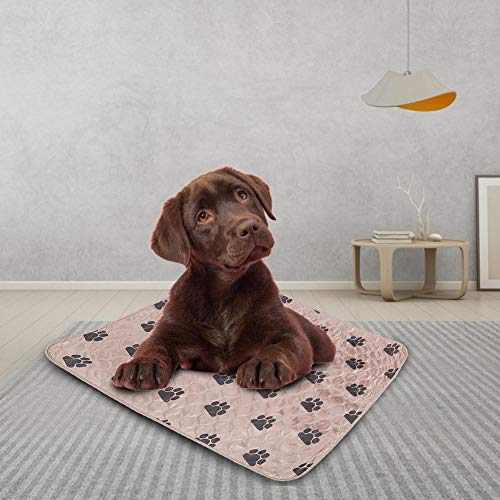 Fdit Socialme-EU Alfombrilla de Riegue Reutilizable Impermeable de Orina de Cama de Cojín de PIS para Gatos de Perros de Animal Doméstico(80 * 90cm-Marrón)