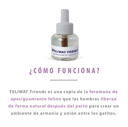 FELIWAY Friends - Anticonflictos para gatos - Peleas, Persecuciones, Bufidos, Bloqueos - Recambio 48 ml