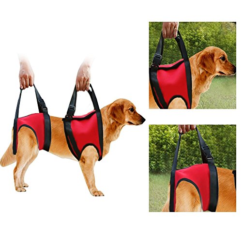 Filfeel Soporte para Perros Arnés Pet Walking Ayuda Lifting Pulling Vest Sling Support Rehabilitation para Perros Viejos y heridos(Pata Delantera - M-Rojo)