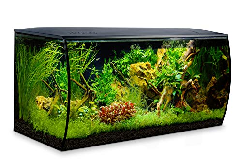 Fluval Acuarios 1 Unidad 4000 g