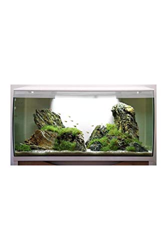 Fluval Acuarios 1 Unidad 4000 g