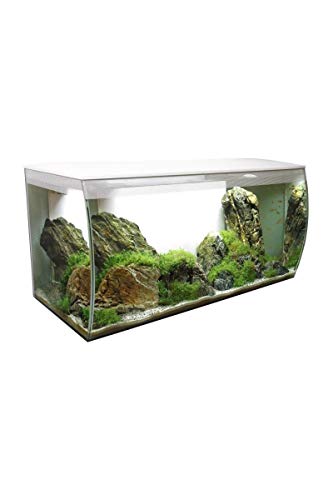 Fluval Acuarios 1 Unidad 4000 g