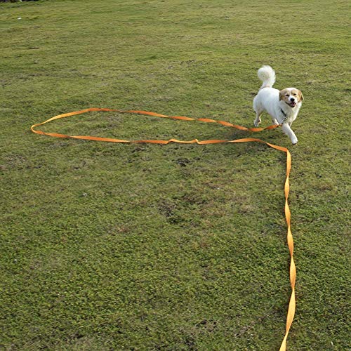 Formación Correa de perro Correa de perro, 10 m / 32 pies de largo correa del perro Formación de nylon for seguimiento de mascotas Entrenamiento de la obediencia del correo del plomo (Negro) zcaqtajro