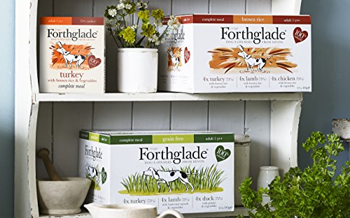 Forthglade - Comida completa 100% natural, 12 x 395 g