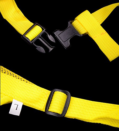 Fully 2 X Bozal de Perro Bozal Bozal Máscara Transpirable Ajustable Anti mordisco Prevención de masticación Collar de ladridos para Mascotas (M: Boca: 14-20cm/5.51-7.87", aleatoria)