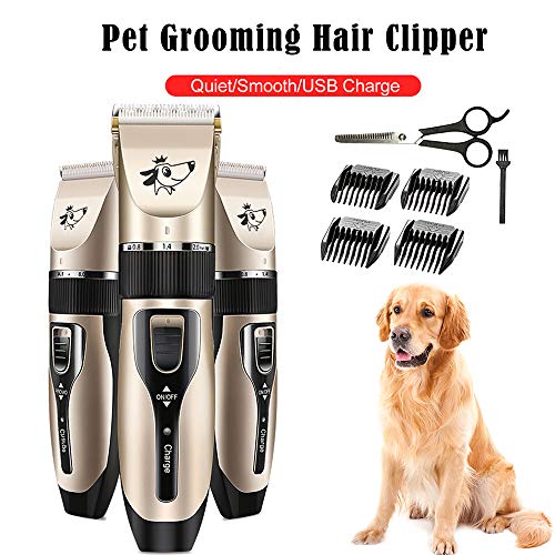 Galapar Cortapelos Perros, Set Máquina Cortar Pelo Profesional Inalámbrico y Recargable, Peluquería para Mascotas Cortadora de Cabello Bajo Ruido Perro Gato Conejo Trimmer Trimmer Cutter Kit