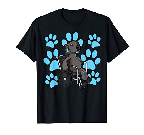 Galgo con discapacidad Animal discapacitado en silla de rued Camiseta