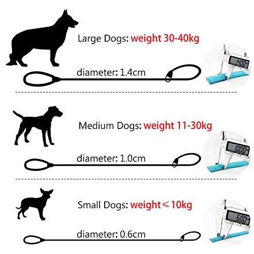 Grand Line Correa de Perro Nylon Cuerda de Entrenamiento Ajustable Reflectantes para Perros Pequeños, Medianos, Grandes y Extra - 1.4cm de Diámetro x 150cm de Largo(Azul)