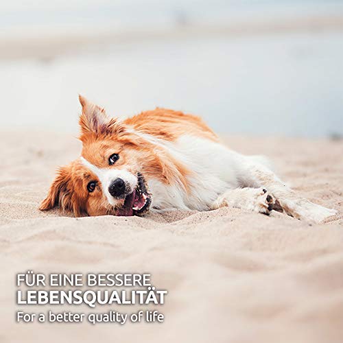 GreenPet Relax Me 120 tabletas - Agente calmante para Perros, Extra Fuerte para la ansiedad, el estrés, Viajes en Coche y Viajes, calmante y Relajante, Valeriana, Hierba de San Juan - Made in Germany