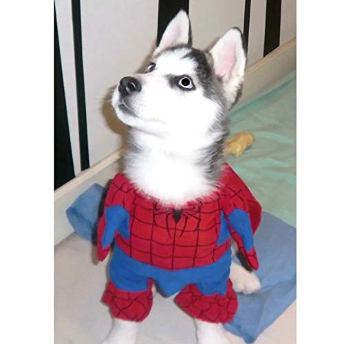 GUOJINE Ropa for Perros Spiderman Disfraces de Gatos con Capas Vestir Mascotas Tricky Spider Superman, Ropa for Perros Mascotas Cachorro Mono for Mascotas Superman (Size : 25-30cm H28cm)