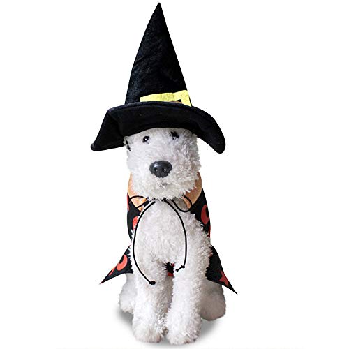 Halloween Bruja Capa Ropa Perro Gato Invierno, Morbuy Mascota Cosplay Fiesta Divertido Disfraces Sudaderas Suéter Vestido para pequeños Animal Accesorios para con Sombrero (S,Abrigo Mago)