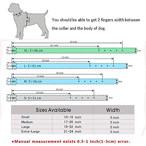 haoyueer - Arnés de Piel para Perro, tamaño Mediano y Grande, con Clavos, Collar y Correa, Juego de 3 Piezas para Pit Bul, Mastín, Boxer, Bull Terrier