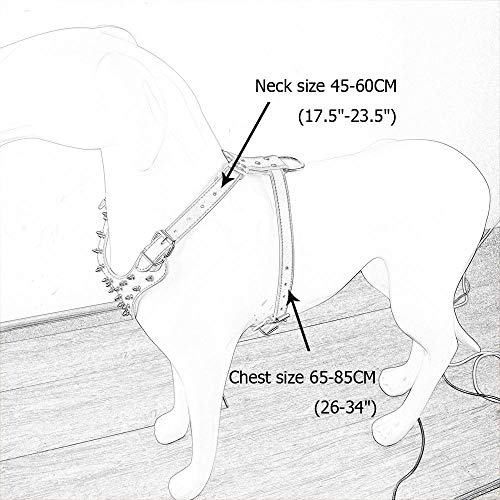 haoyueer - Arnés de Piel para Perro, tamaño Mediano y Grande, con Clavos, Collar y Correa, Juego de 3 Piezas para Pit Bul, Mastín, Boxer, Bull Terrier