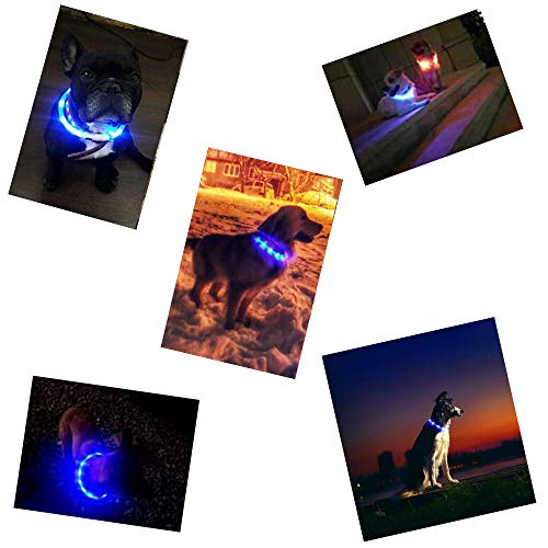 Heatigo - Collar para perro con luz LED, USB de carga nocturna, super brillante, collar ajustable para mascotas (70 cm), con patrón de perro lindo 3 modos de luz