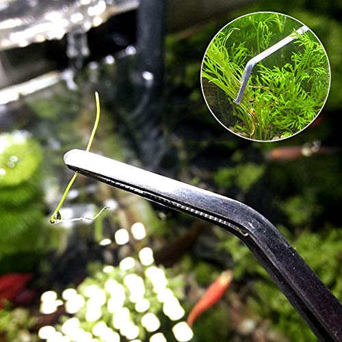 Herramientas de acuario,Planta acuática Tijera,Acuario Herramienta Accesorios,Aquarium Tool Accesorios acero inoxidable Acuario tanque planta de agua Alicates Tijeras Herramientas Set Kit-3PCS