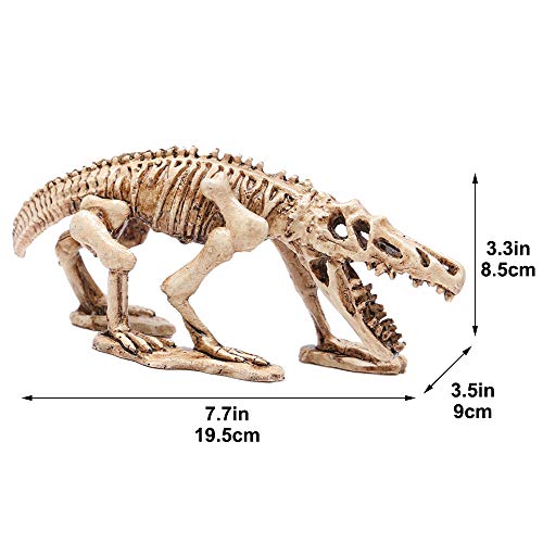 HongYH Decoración del Acuario, Esqueleto Decorativo del Dinosaurio de la Resina del Acuario para la casa del Reptil