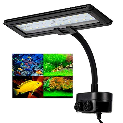 Hygger Luces para Acuarios,Luz LED Acuario Lluminación LED para Acuarios Plantados Lámpara LED para Peceras Lámpara de Acuario Blanco y Azul con Clip Ajustable (13W)