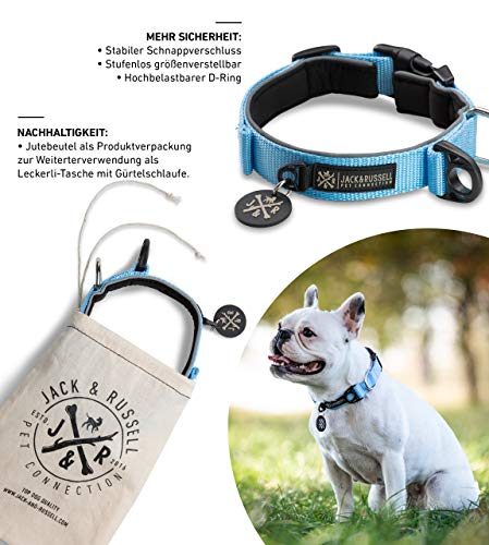 Jack & Russell Premium Collar de Perro Luna Reflectante y Neopreno Acolchado Collar de Perro Varios tamaños y Colores (Circunferencia del Cuello L (43-58 cm), Azul Celeste)