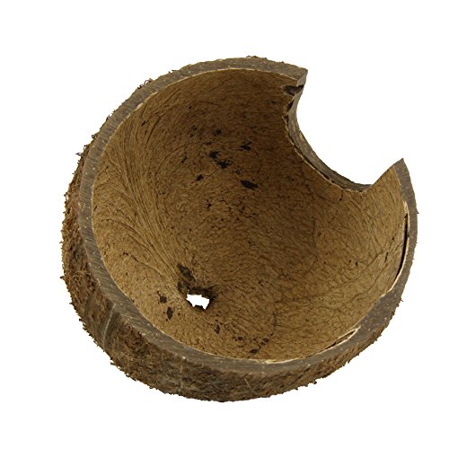 JBL 6151100 Cueva de cáscara de coco para acuarios y terrarios 1/2 M, marron