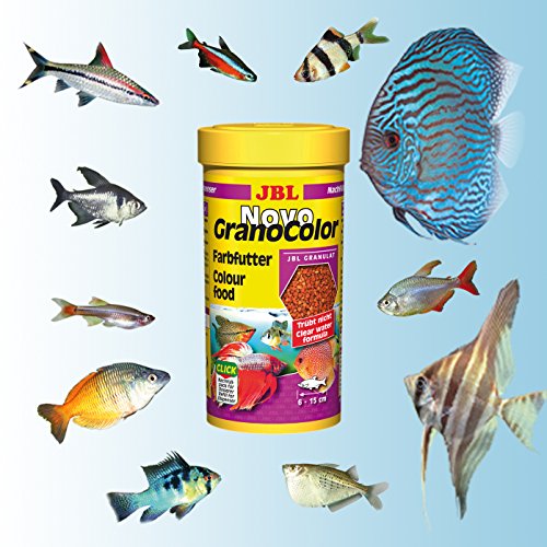 JBL Comida de Colores para Peces de Acuario, granulado, novogranocolor