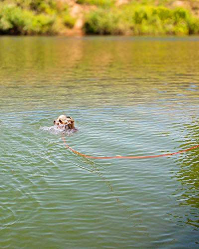 Joytale Correas Adiestramiento para Perros Correa de Perro,Cuerda Nylon Largo Mascota Perro Formación Correa de Entrenamiento,10m