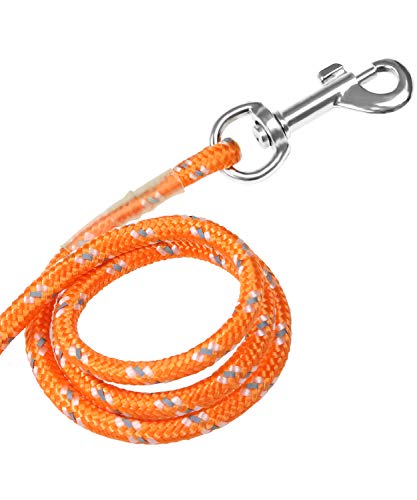 Joytale Correas Adiestramiento para Perros Correa de Perro,Cuerda Nylon Largo Mascota Perro Formación Correa de Entrenamiento,10m