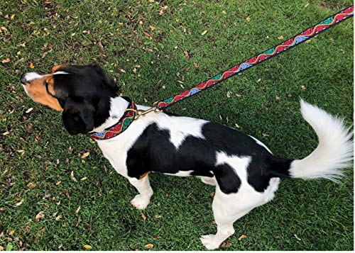 Juego de collar y correa de nailon para perros, 60 cm, 160 cm