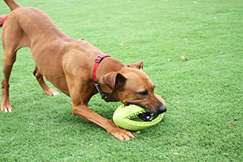 Juguete para Perros de Happy Pet, con Forma de balón de Rugby