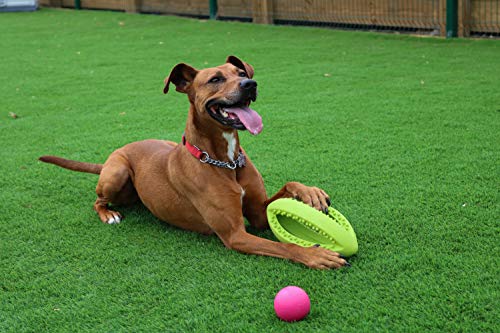 Juguete para Perros de Happy Pet, con Forma de balón de Rugby