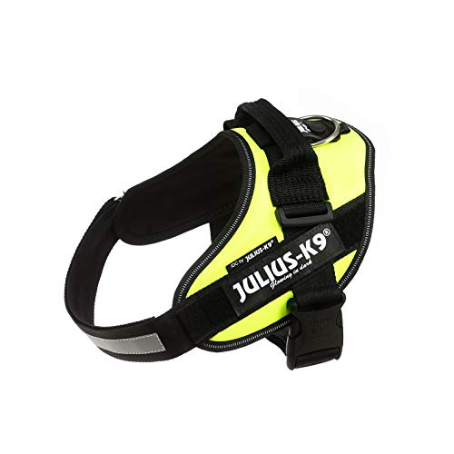 Julius-K9 16IDC - Power Harness