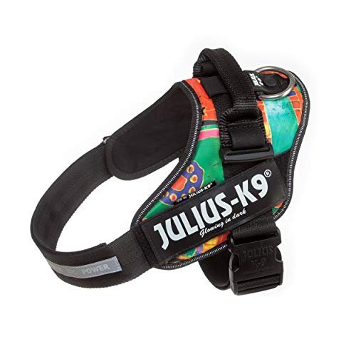 Julius-K9 16IDC - Power Harness