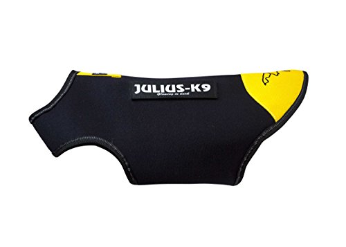 Julius-K9, Chaqueta de neopreno para perro IDC, Talla: S, Negro y Amarillo