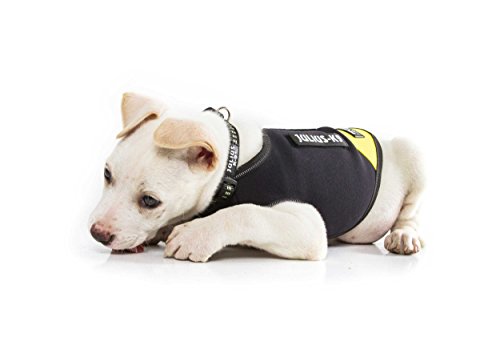 Julius-K9, Chaqueta de neopreno para perro IDC, Talla: S, Negro y Amarillo