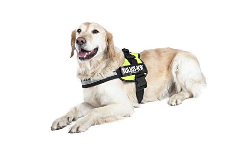 K9 Powerharness, Tamaño: 2, Colore: Verde Kiwi