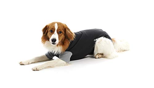 Kruuse Pet Buster Body Suit Classic Perro, Negro/Gris, 38Cm, T-  XS, algodón, Extra-Small