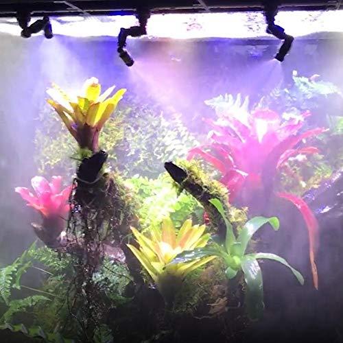 KSTE Reptiles nebulizador rociador Niebla Selva Tropical del Tanque 360 ​​Acuario Ajustable Sistema de Conexión de 1/4 '' de hidromasaje