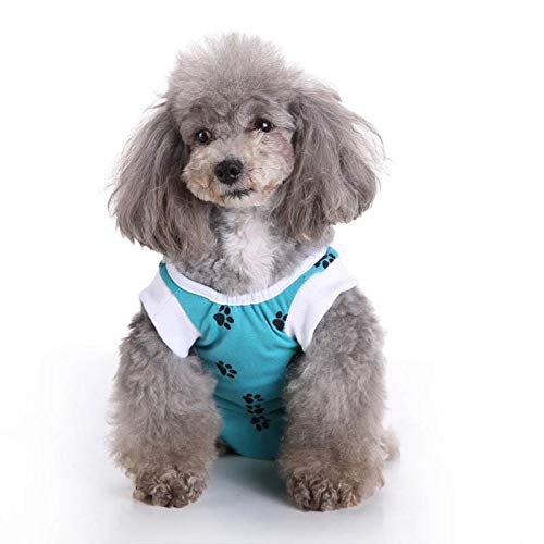 KTENME - Traje quirúrgico de esterilización para Perros, Ropa postoperatoria, cómoda esterilización para Mascotas, Suministros de recuperación de Salud (Azul, XS)