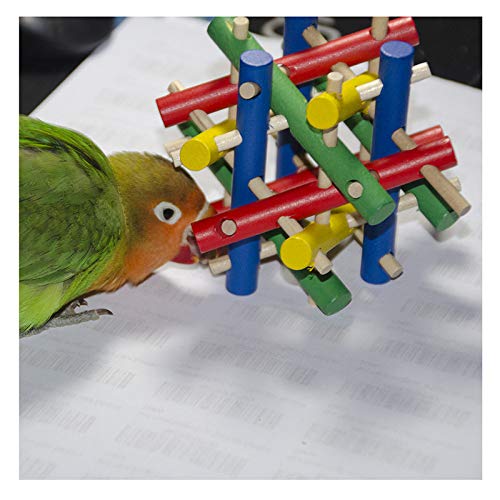 KTUCN Artículos para mascotas, Juguetes de entrenamiento para loros, Estilos de cubo cuadrado de madera Birds Play Toys, Accesorios para juegos de pájaros con forma de bloque d, Claro, 8cm x 8cm x 8cm