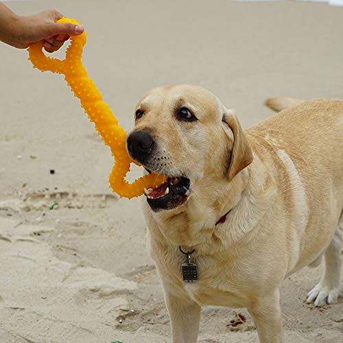 LANYUKEJI Duros Juguetes morder para Perros, 13 Pulgada Goma Juguete Forma de Hueso con Superficie Convexa Resistente Juguetes interactivos para Cachorro de Perros pequeños medianos y Grandes