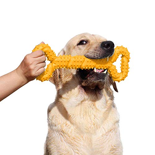 LANYUKEJI Duros Juguetes morder para Perros, 13 Pulgada Goma Juguete Forma de Hueso con Superficie Convexa Resistente Juguetes interactivos para Cachorro de Perros pequeños medianos y Grandes